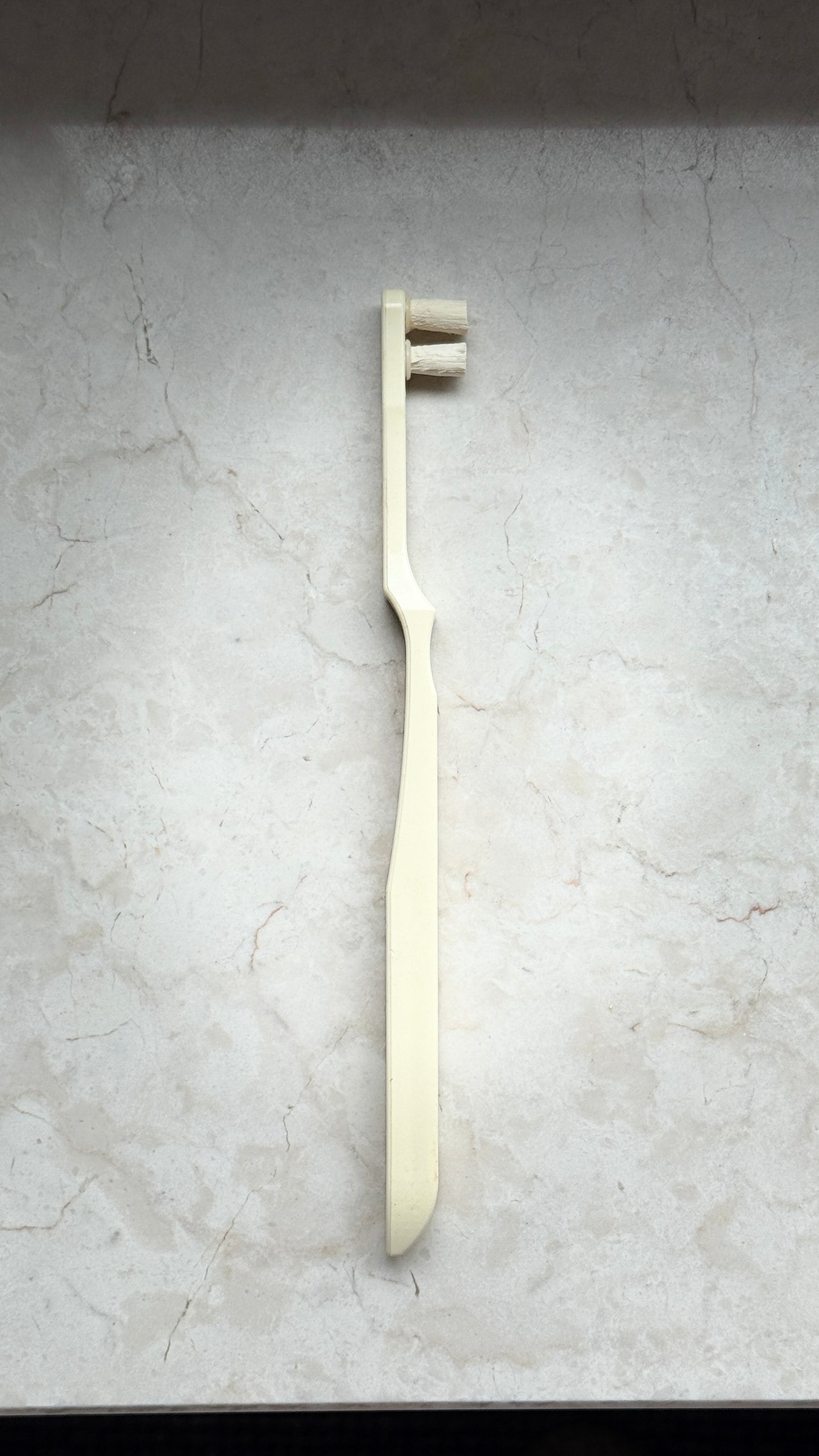 Miswak Zahnbürste – 100% Natürlich | Sunnah Zahnreinigung