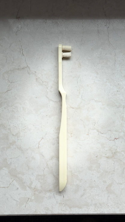 Miswak Zahnbürste – 100% Natürlich | Sunnah Zahnreinigung