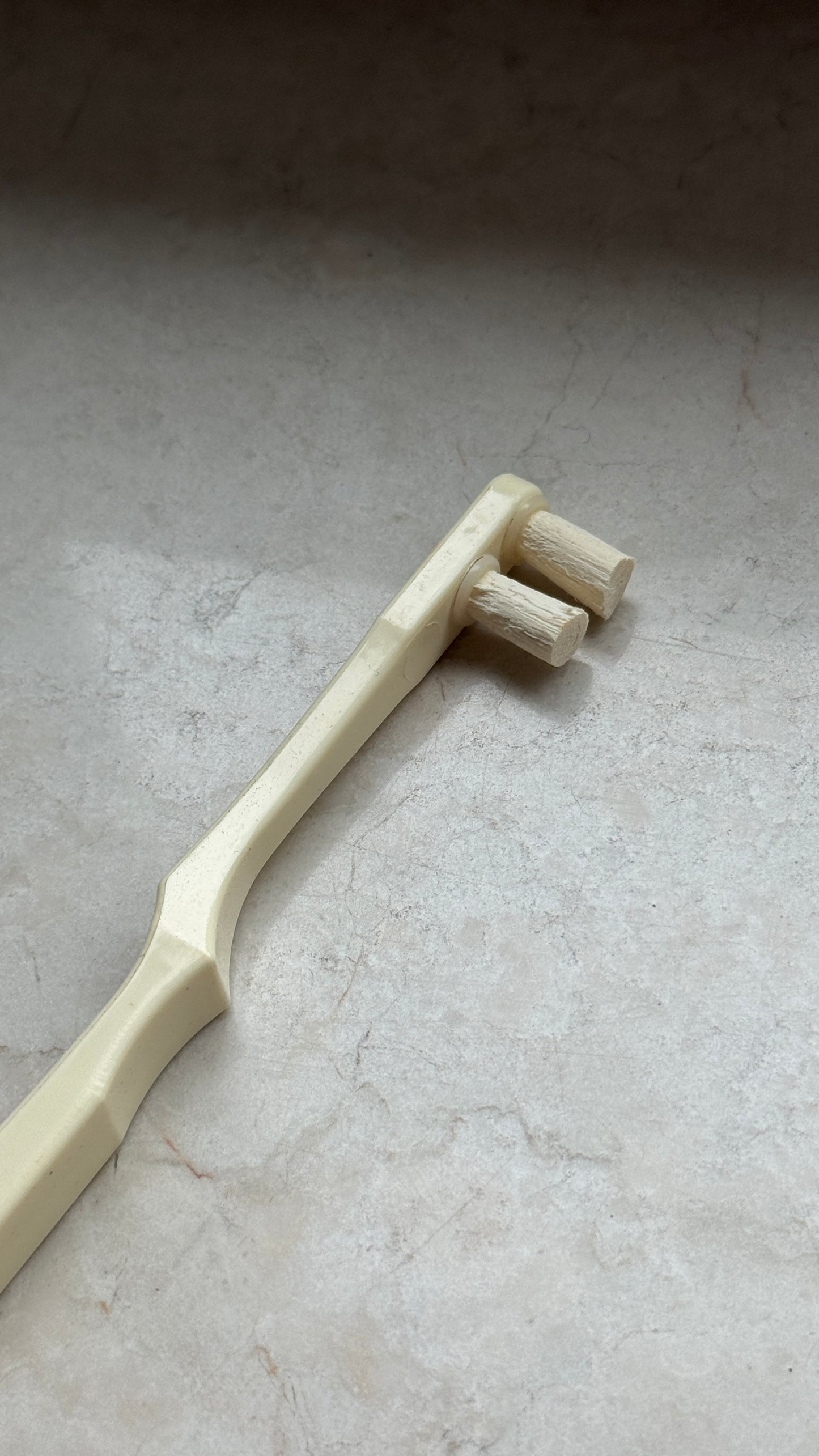 Miswak Zahnbürste – 100% Natürlich | Sunnah Zahnreinigung