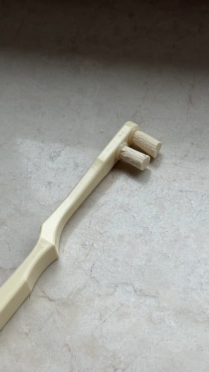 Miswak Zahnbürste – 100% Natürlich | Sunnah Zahnreinigung