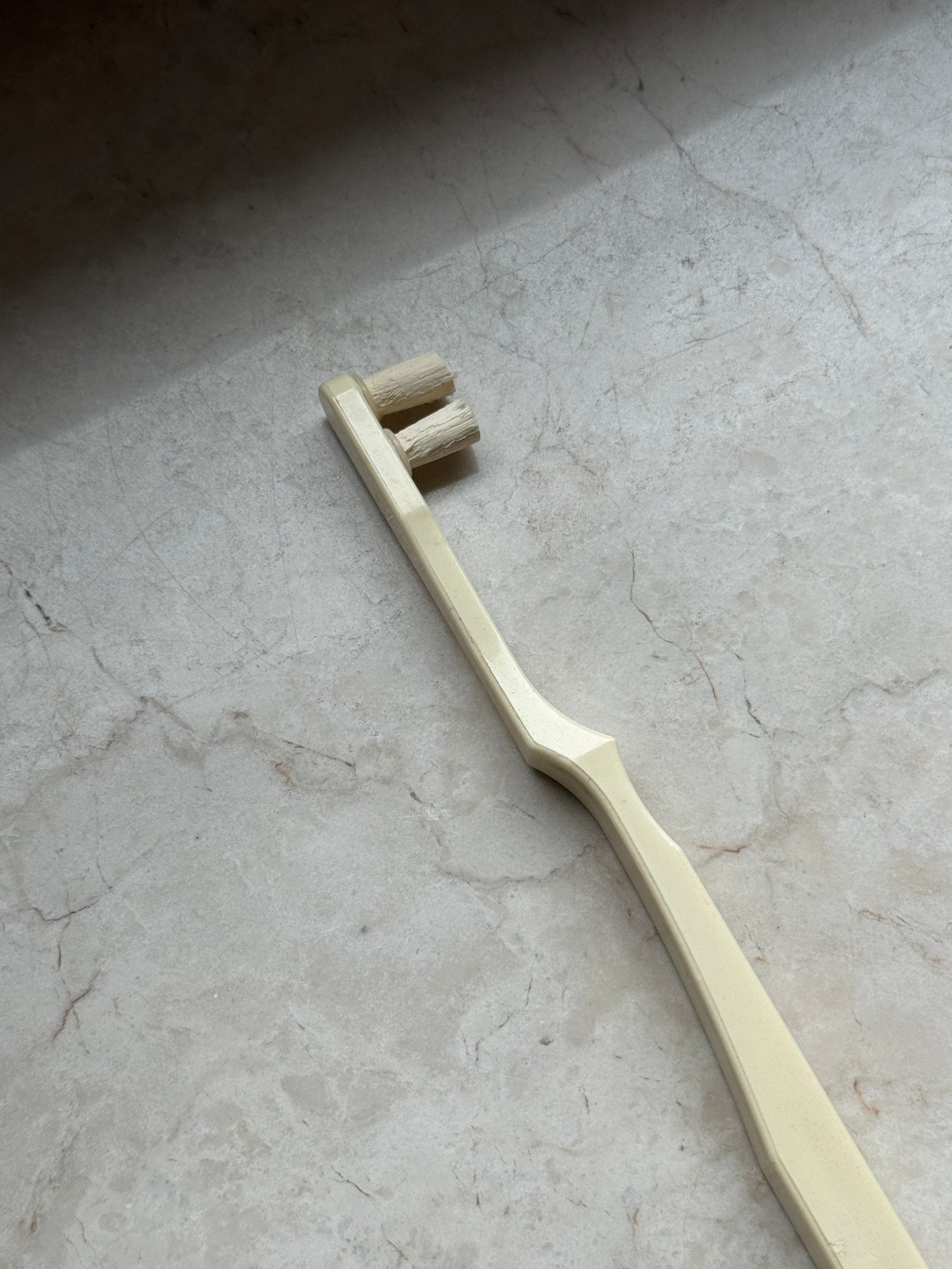 Miswak Zahnbürste – 100% Natürlich | Sunnah Zahnreinigung