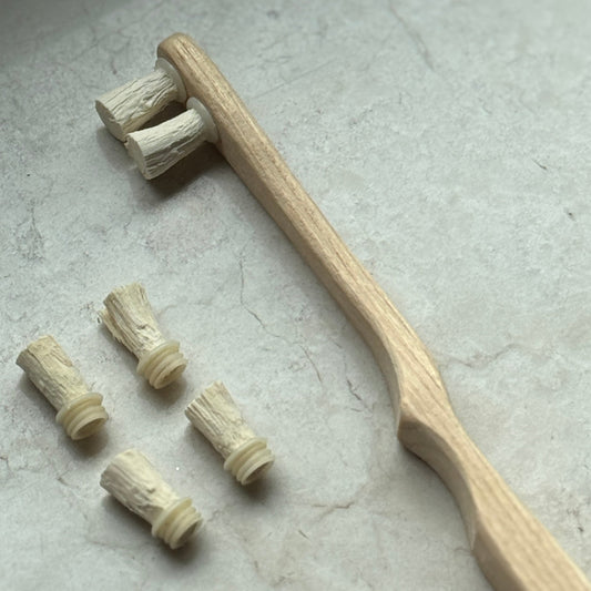 Miswak Zahnbürste – 100% Natürlich | Sunnah Zahnreinigung